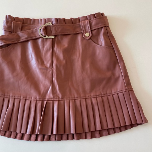 Zara Blogger Favorite Faux Leather Pleated Mini Skirt in Whiskey - Picture 10 of 16